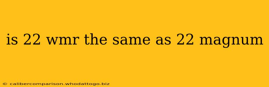 is 22 wmr the same as 22 magnum