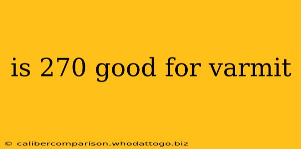 is 270 good for varmit