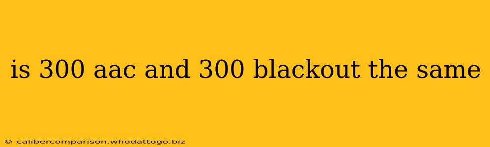 is 300 aac and 300 blackout the same