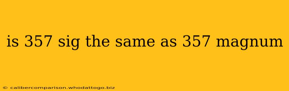 is 357 sig the same as 357 magnum