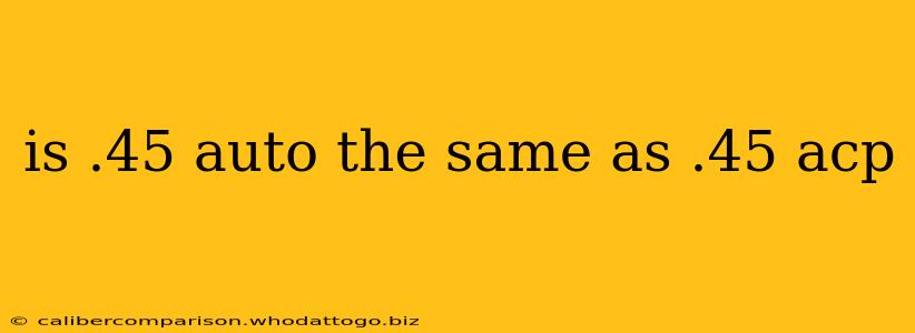 is .45 auto the same as .45 acp