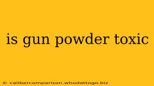 is gun powder toxic