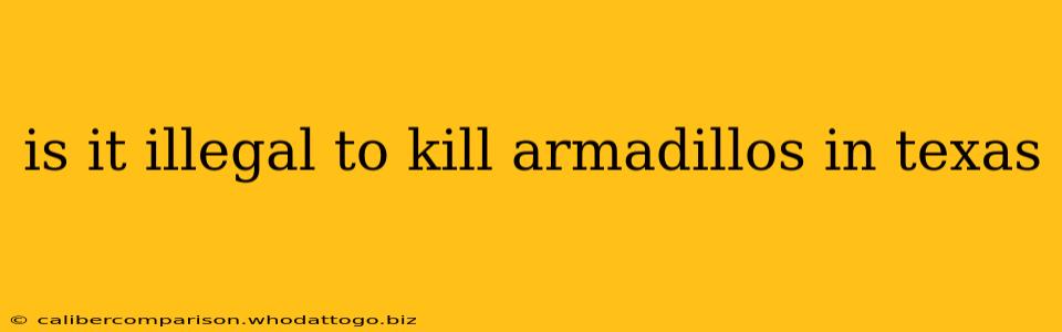 is it illegal to kill armadillos in texas