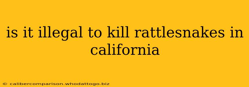 is it illegal to kill rattlesnakes in california