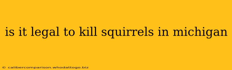 is it legal to kill squirrels in michigan