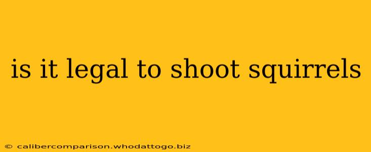 is it legal to shoot squirrels