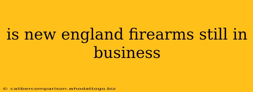 is new england firearms still in business