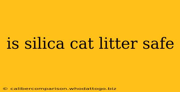 is silica cat litter safe