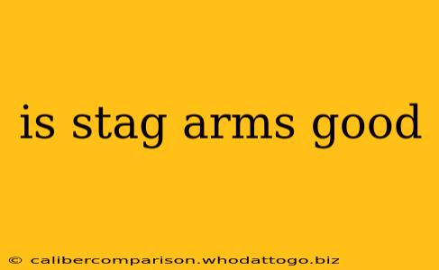 is stag arms good