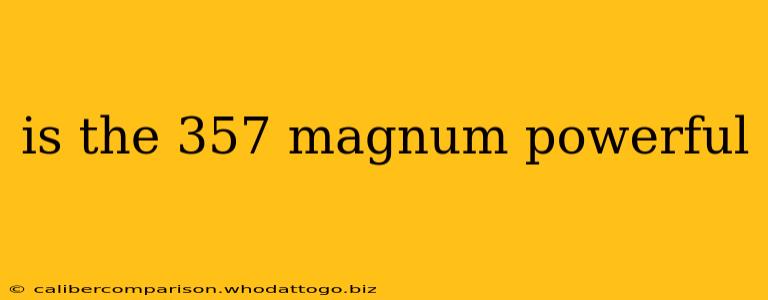 is the 357 magnum powerful