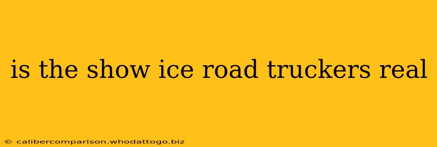 is the show ice road truckers real