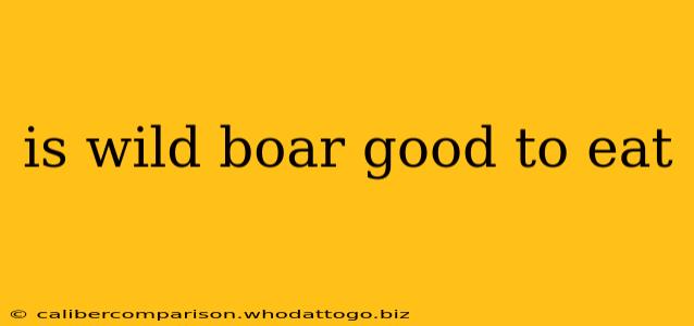 is wild boar good to eat