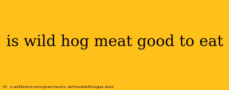 is wild hog meat good to eat