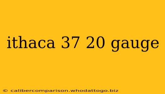 ithaca 37 20 gauge