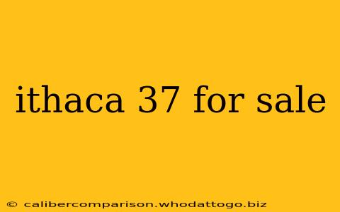 ithaca 37 for sale