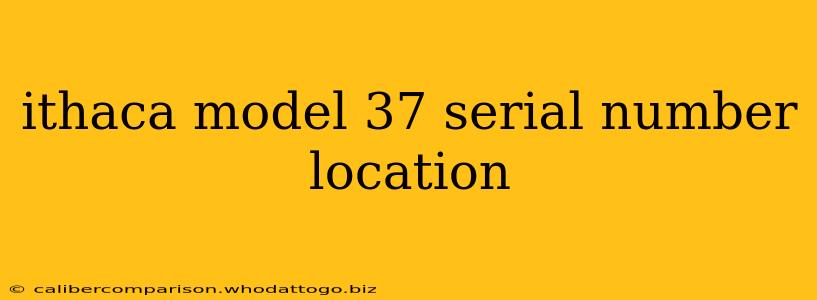 ithaca model 37 serial number location