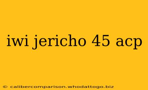 iwi jericho 45 acp