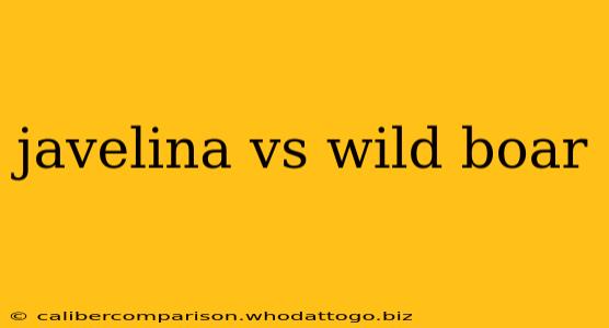 javelina vs wild boar