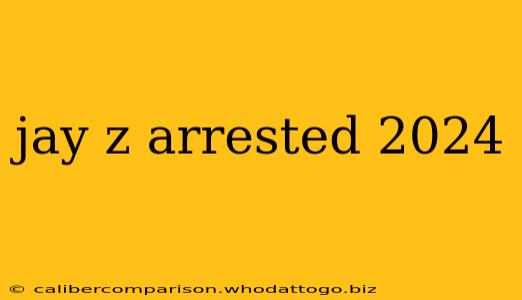 jay z arrested 2024