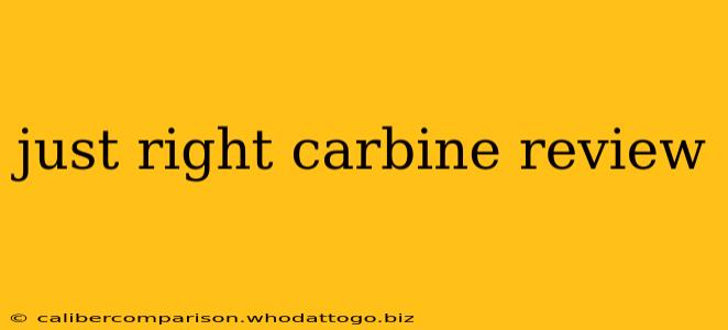 just right carbine review