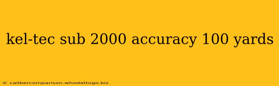kel-tec sub 2000 accuracy 100 yards