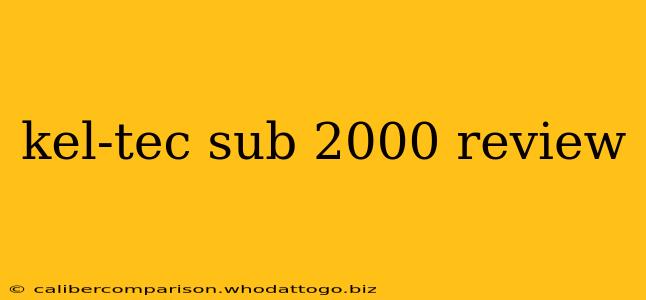 kel-tec sub 2000 review