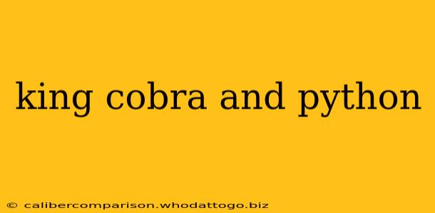 king cobra and python