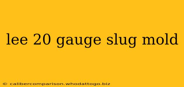 lee 20 gauge slug mold