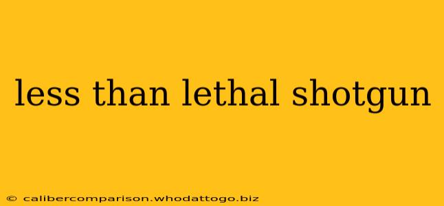 less than lethal shotgun