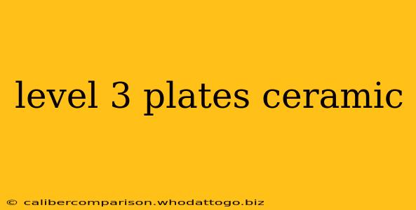 level 3 plates ceramic