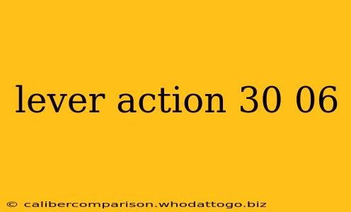 lever action 30 06