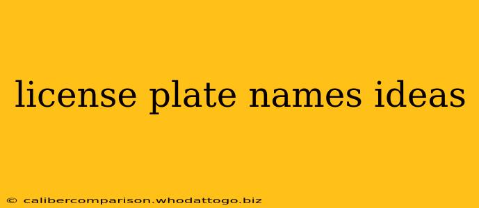 license plate names ideas