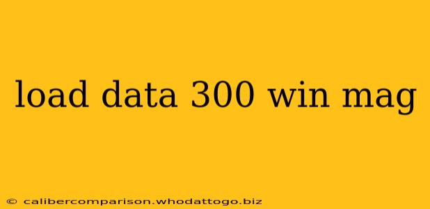 load data 300 win mag