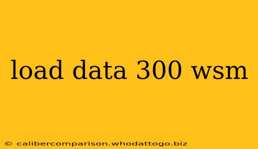 load data 300 wsm