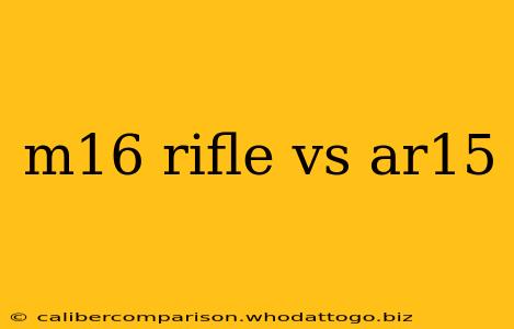 m16 rifle vs ar15