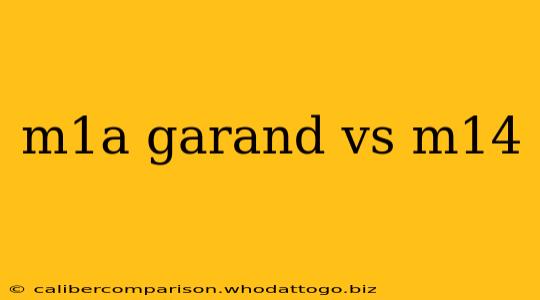 m1a garand vs m14