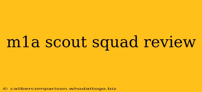 m1a scout squad review