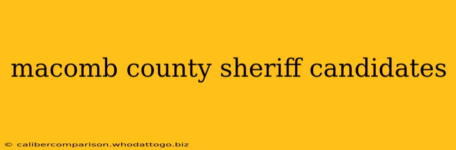 macomb county sheriff candidates