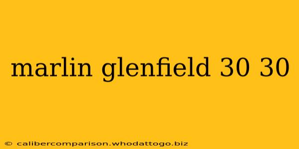 marlin glenfield 30 30