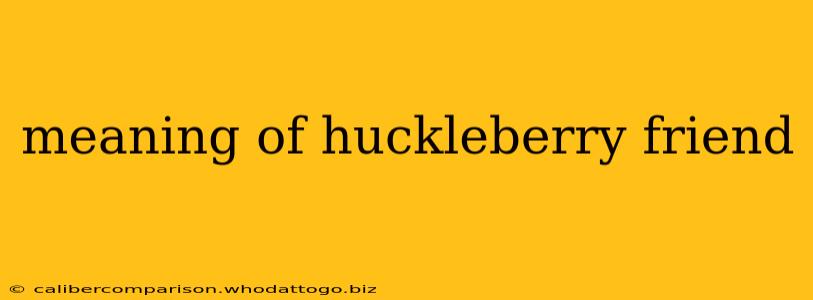 meaning of huckleberry friend