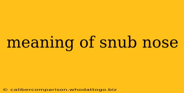 meaning of snub nose