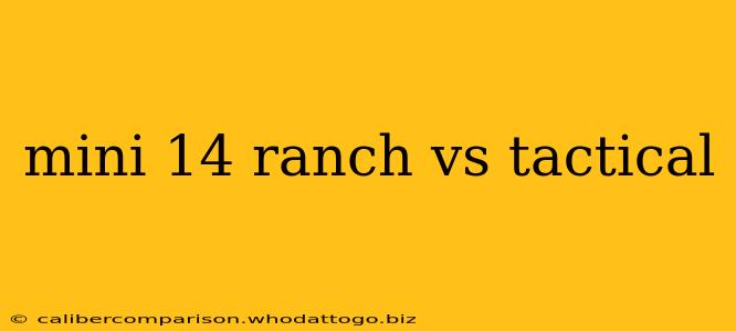 mini 14 ranch vs tactical