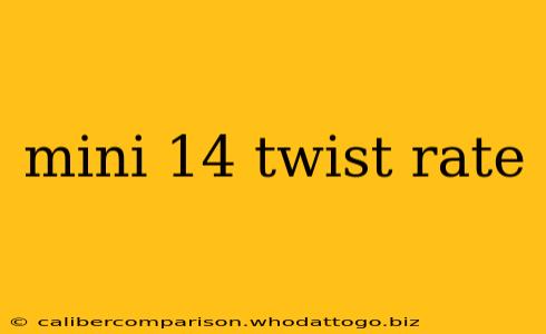 mini 14 twist rate