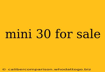 mini 30 for sale