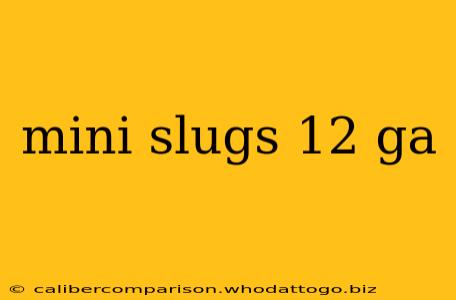 mini slugs 12 ga