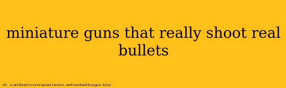 miniature guns that really shoot real bullets