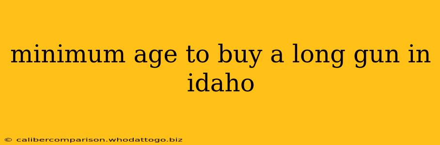 minimum age to buy a long gun in idaho