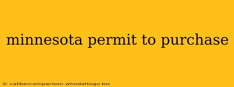 minnesota permit to purchase