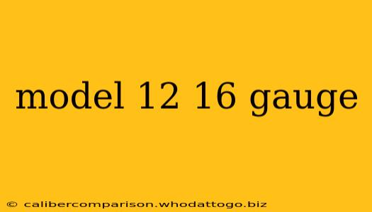 model 12 16 gauge