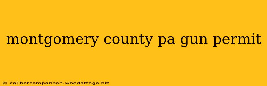 montgomery county pa gun permit